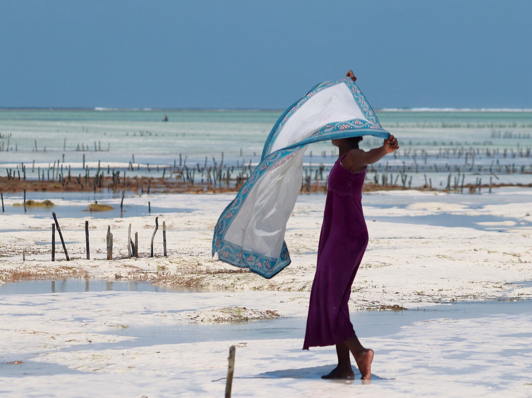 End in Zanzibar