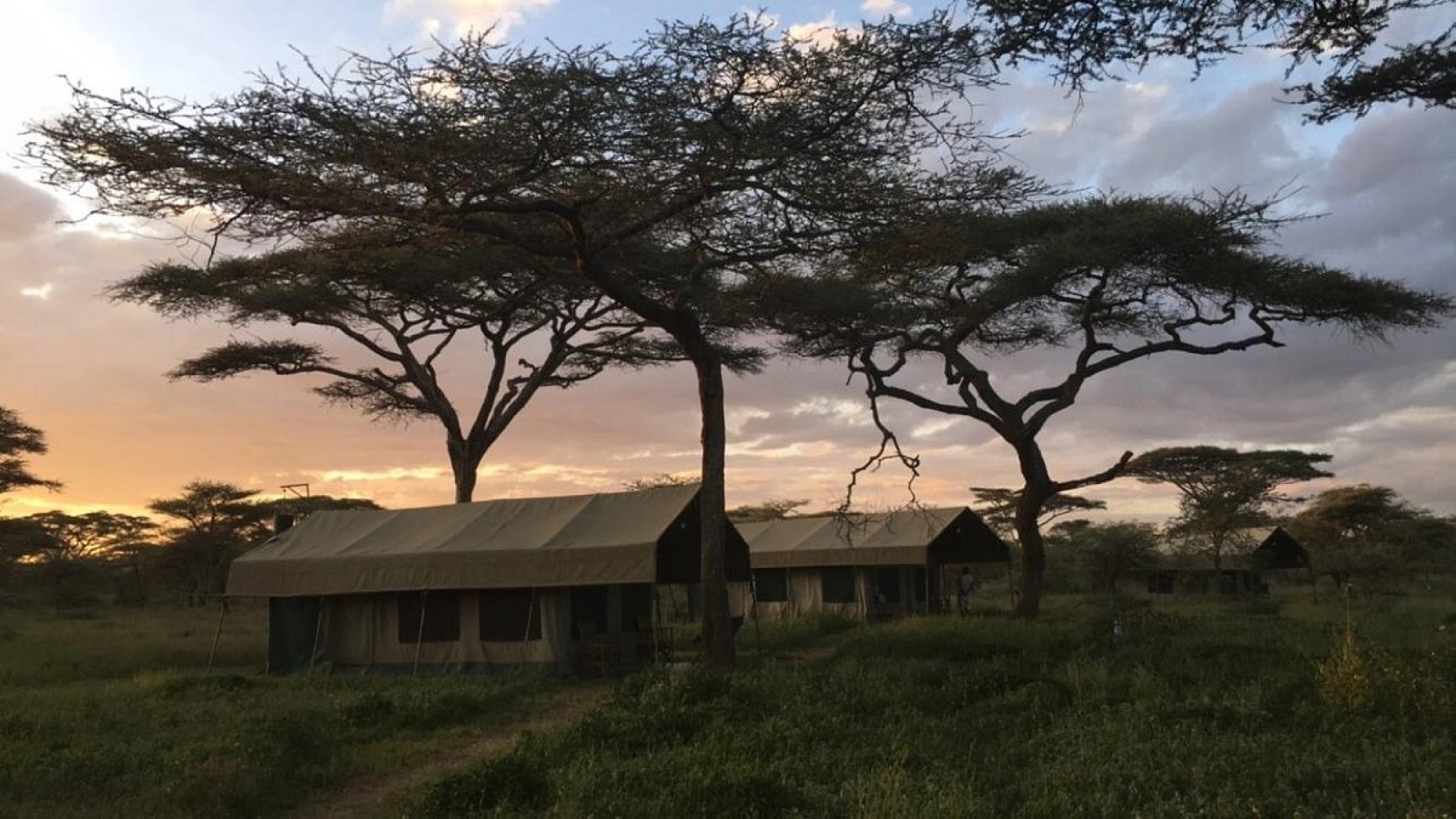 Camps & lodges